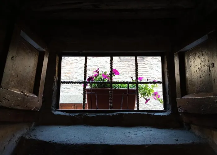 Apartmán Io E Te Centro Storico - Seconda Doccia Su Romantica Corte